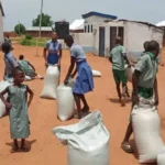 Mais als Soforthilfe