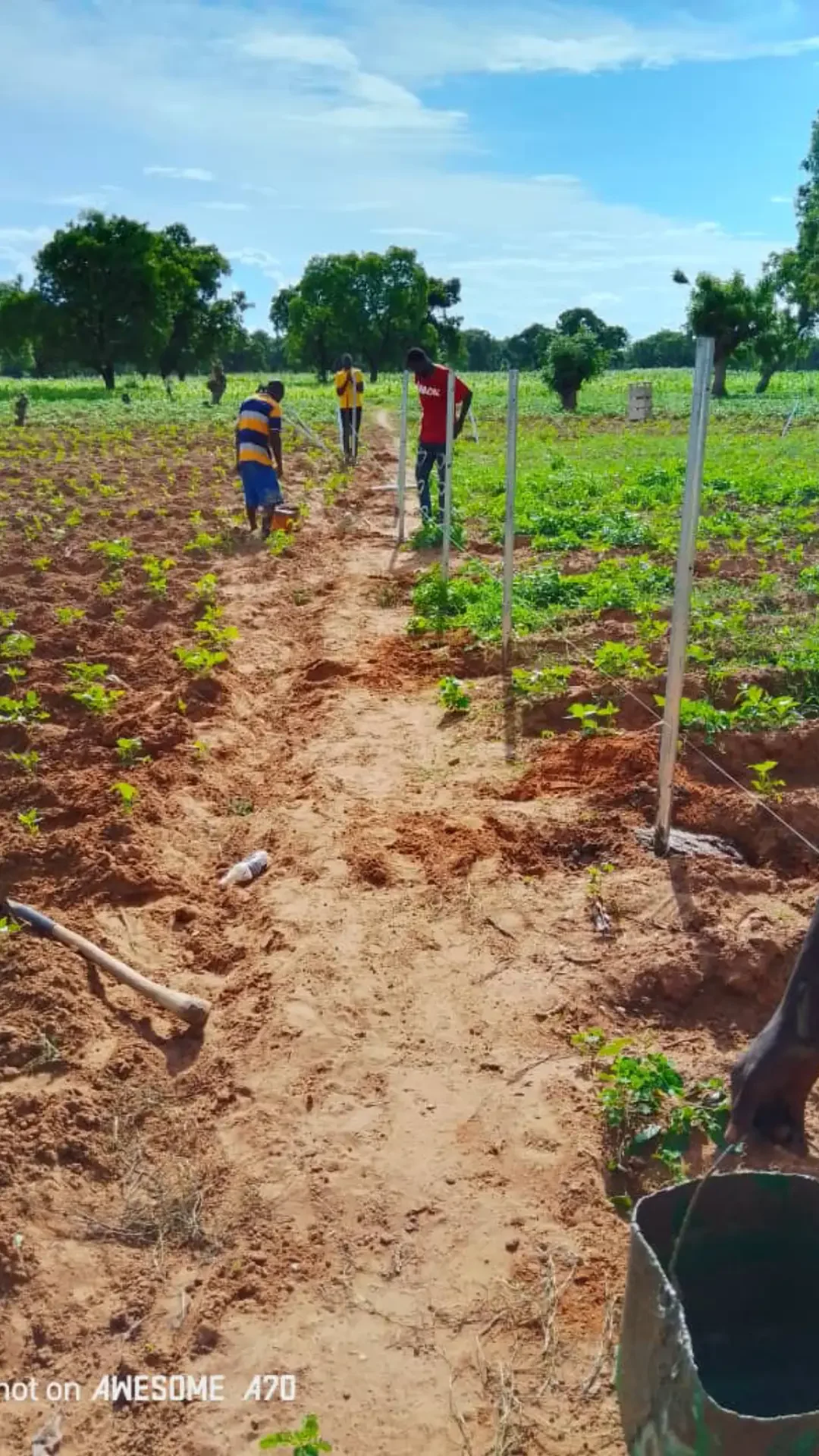 6E70C289-A2EA-4A02-9101-148D4CCA3277