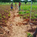 Unser neuer Schulgarten