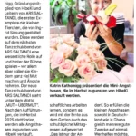 Hildesheimer Allgemeine berichtet...