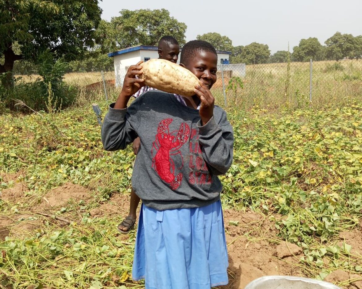 WhatsApp Image 2025-11-17 at 13.23.30