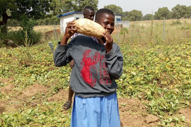 WhatsApp Image 2025-11-17 at 13.23.30